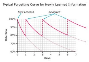 forgetting-curves